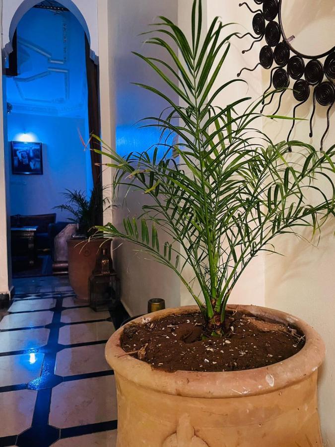 מרקש Riad Ms Holidays Terrasse Privatise Marrakech מראה חיצוני תמונה
