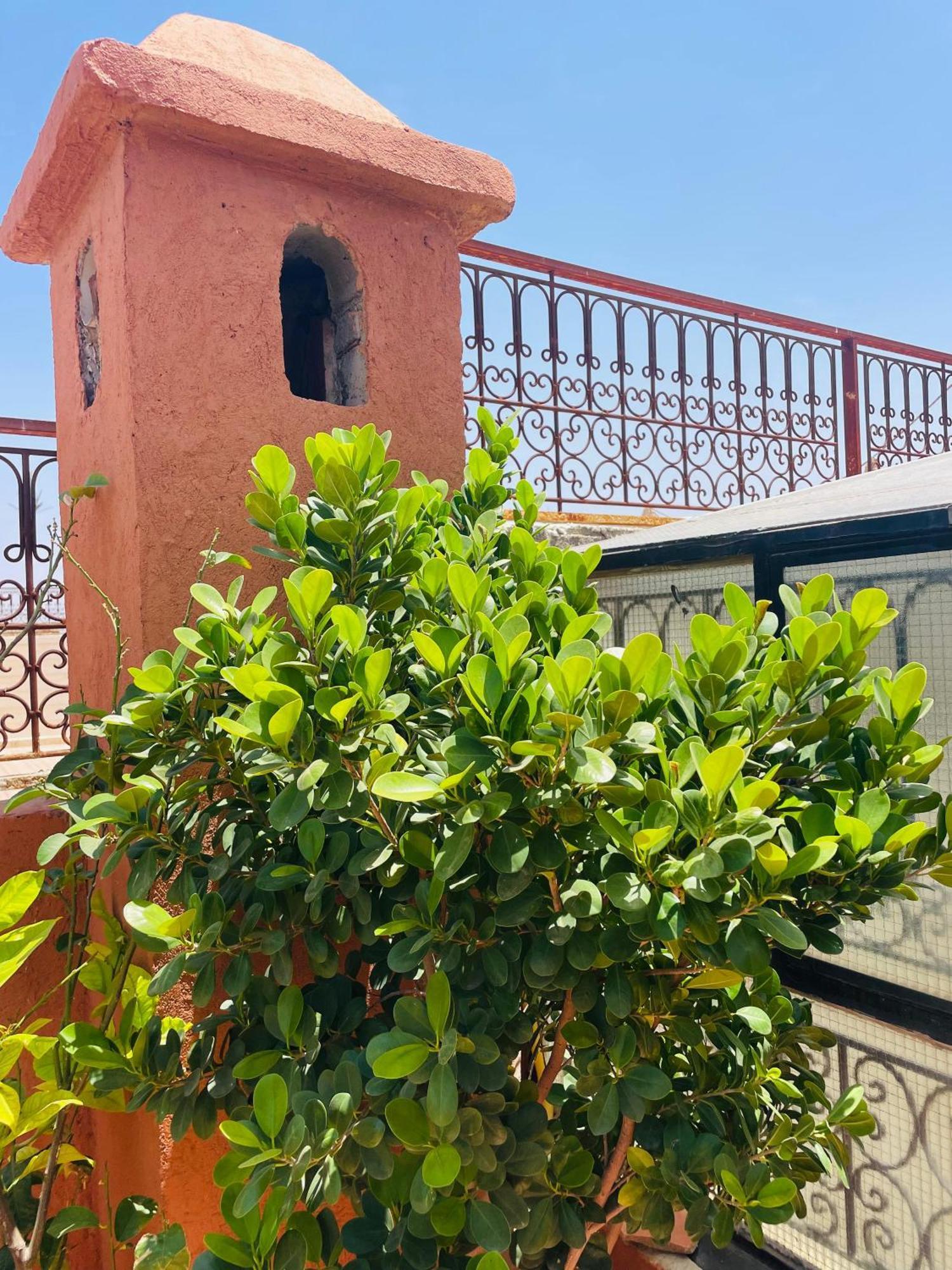 מרקש Riad Ms Holidays Terrasse Privatise Marrakech מראה חיצוני תמונה